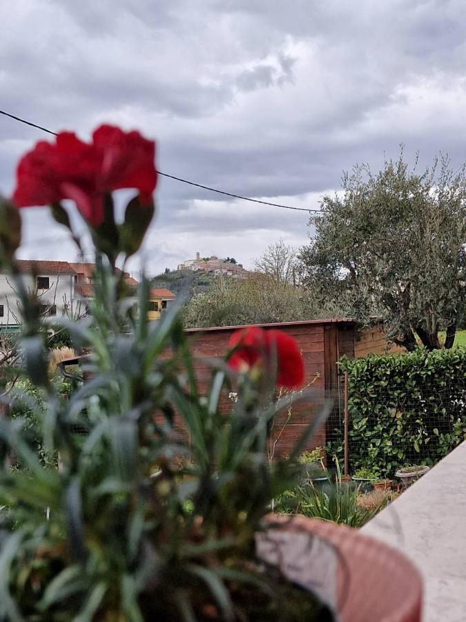 Apartman Sandro Motovun Exterior foto